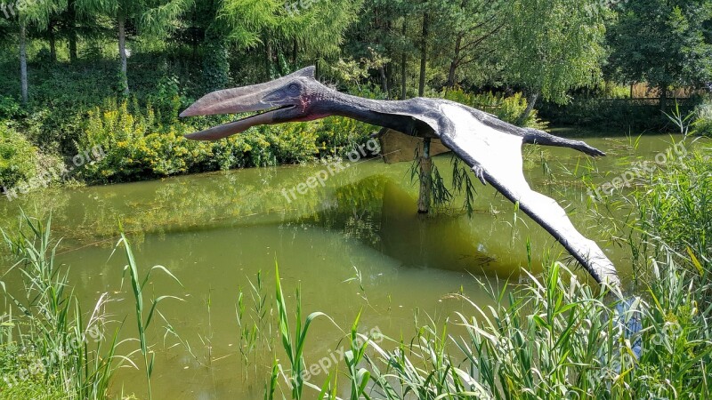 Balts Jurassic Park Pterosaur Dinosaur Mockup