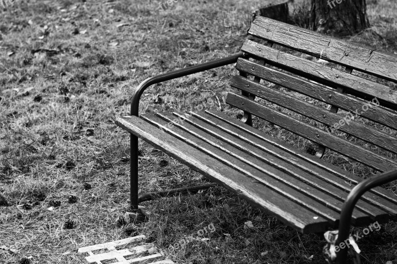 Bench Session Outside Wooden Bench Travel