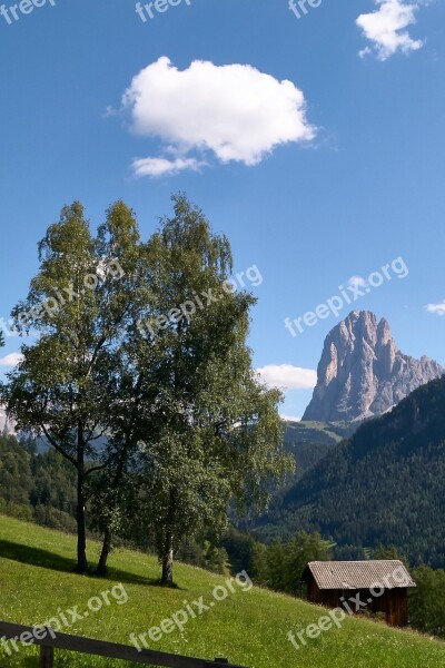 Sassolungo Val Gardena Trees Barn Landscape