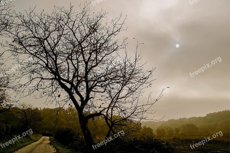 Lazio Rome Italy Roman Countryside Fog