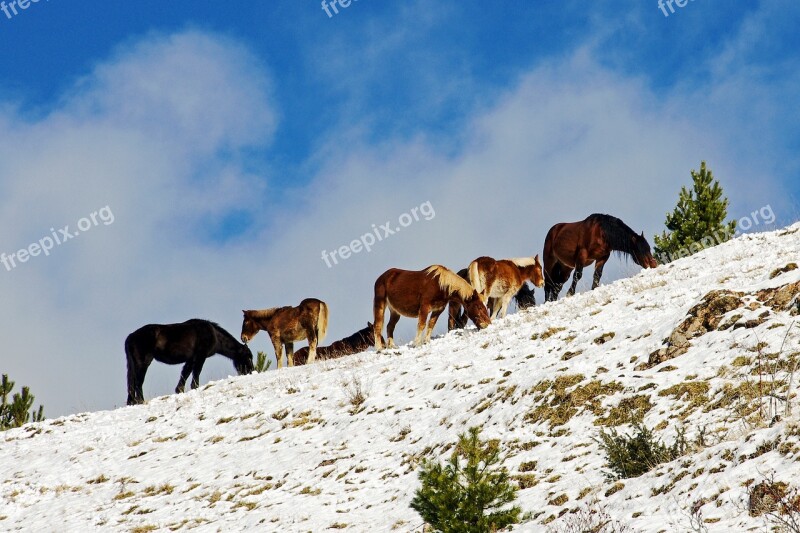 Campotosto L'aquila Abruzzo Italy The Abruzzo National Park