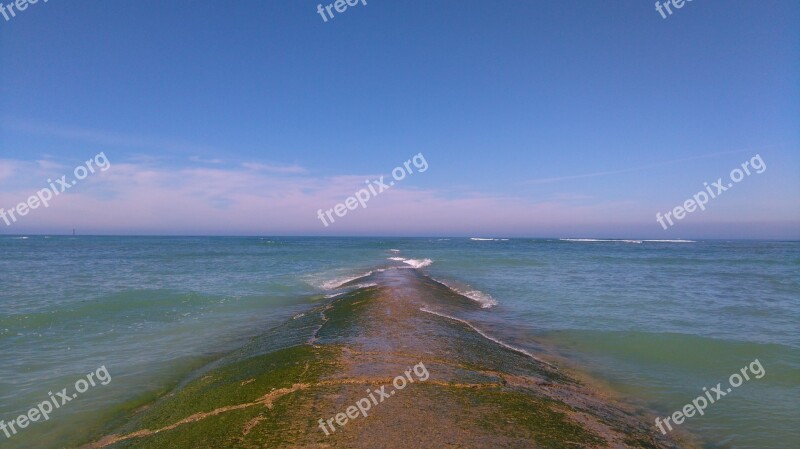 Sea Beach Ile De Ré Island Isle Of Rhe