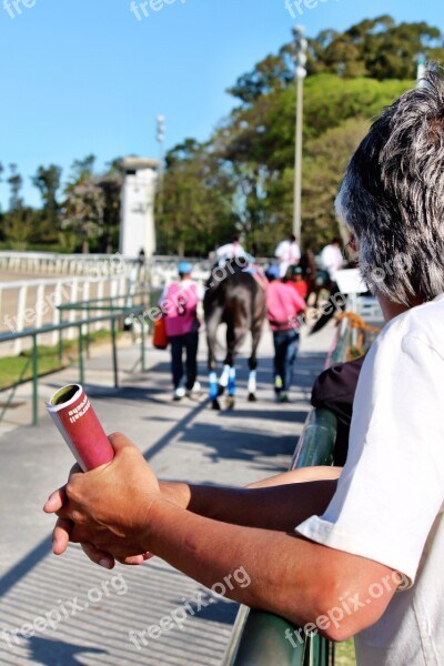 People Racetrack Horse Racing Horses Thoroughbred