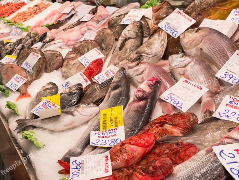 Fish Sea Seafood Market Fish Market