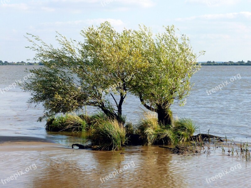 Elbe Beach Elbe Bank Ebb Nature