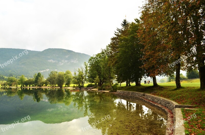 Tree Lake Nature Green Autumn