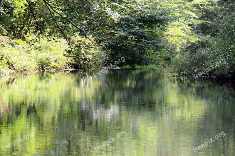 Stream Reflection River Bank Nature Water Stream