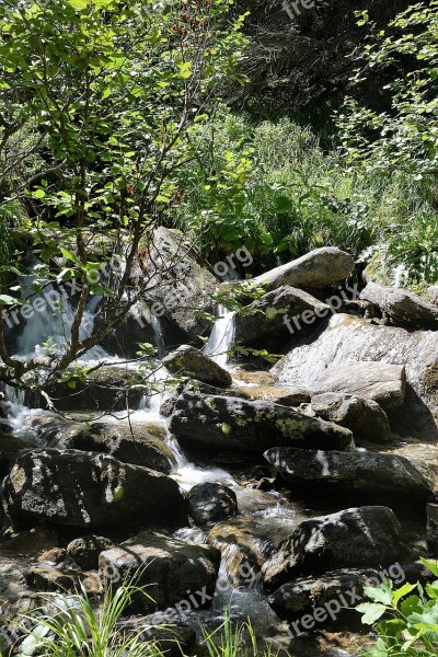 Bach Stones Water Shadow Natural Stream