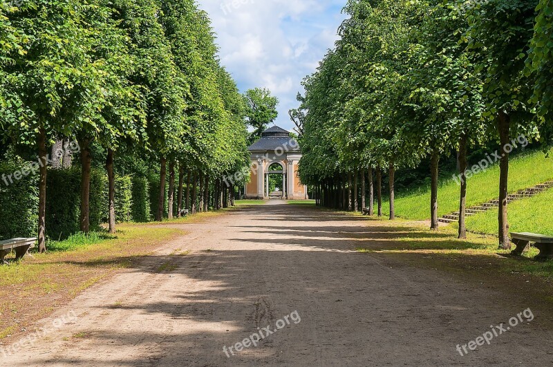 Avenue Trees Away Outdoor Free Photos