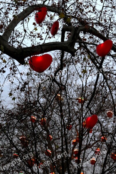 Hearts Tree Park Vienna Symbol