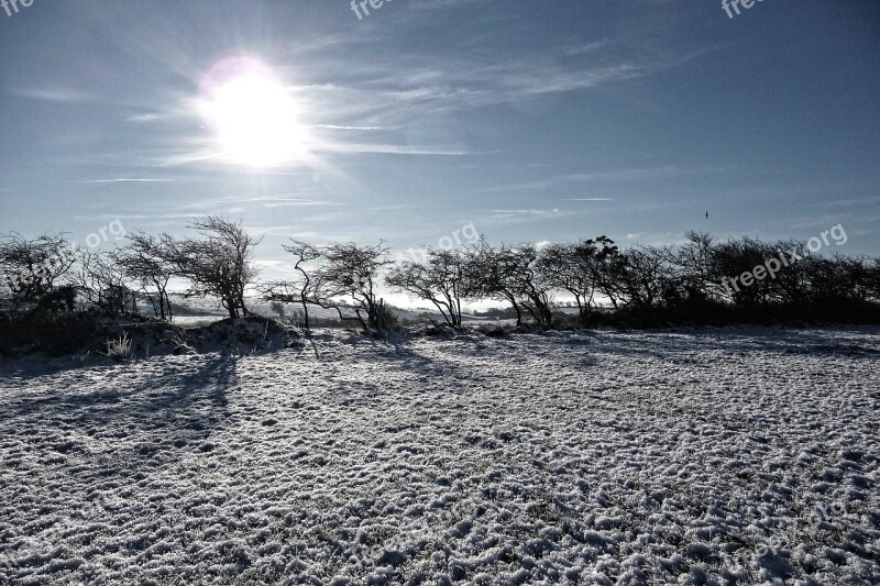 Snow Frost Christmas Ireland Tree