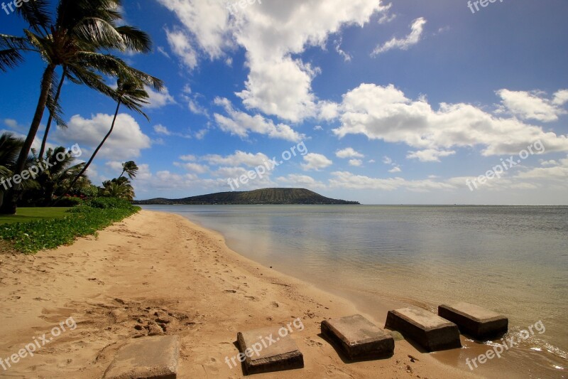 Hawaii Beach Vacation Happy Outdoor