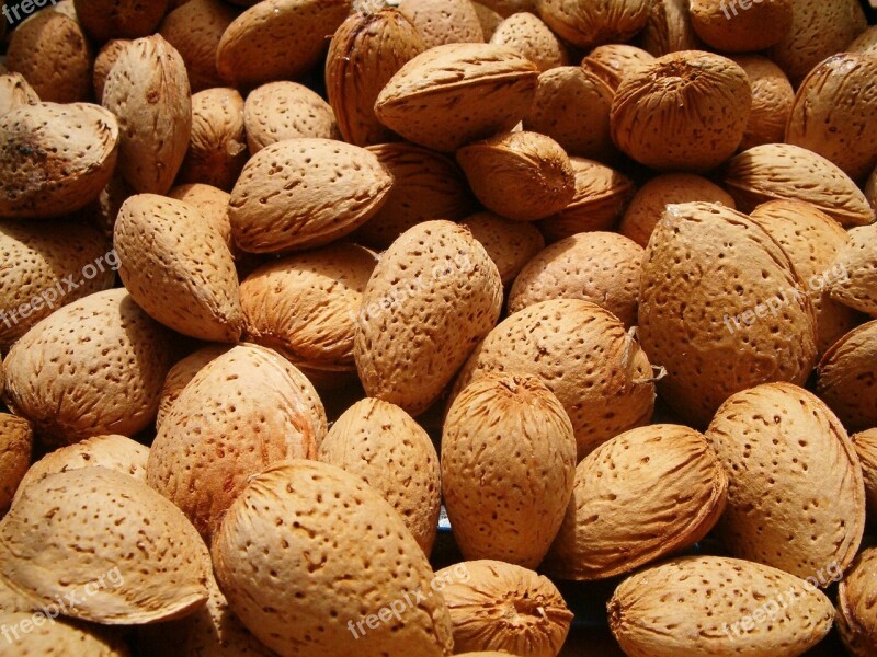 Almond Shell Corrugated Drupe Nut