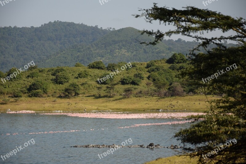 Tanzania Arusha Np Momela Lakes Landscape