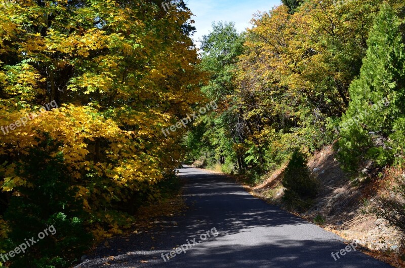 Country Road Mountain Highway Road Country Travel