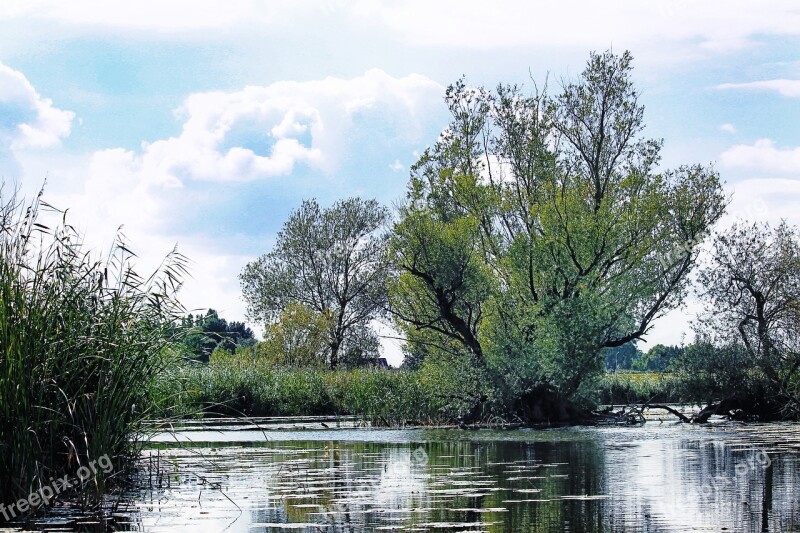 Landscape River Trees Morning Sun Water