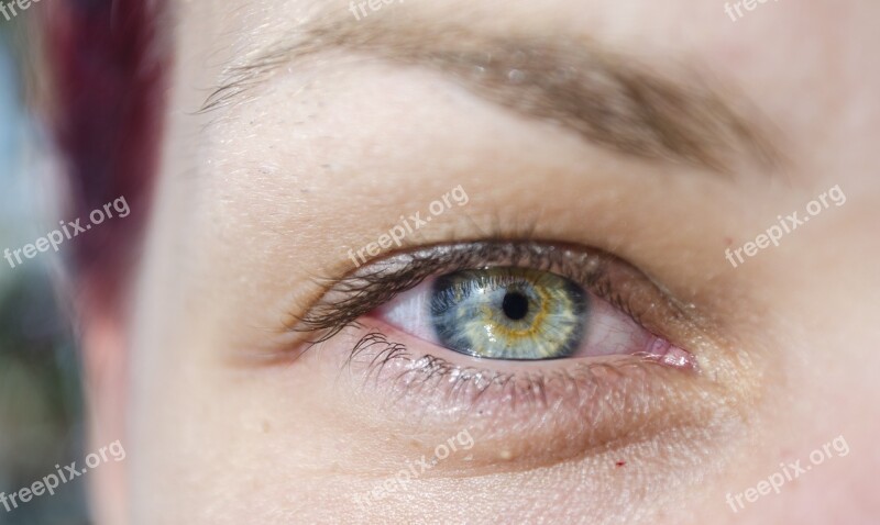 Eye Human Face Female Look