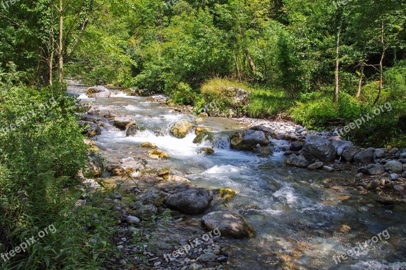 Orsomarso Calabria Torrent Argentine Stream Water