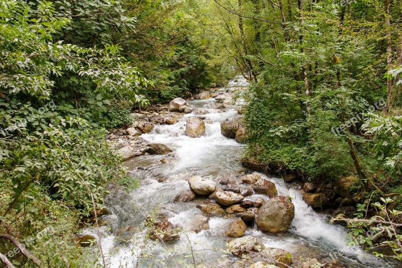 Orsomarso Calabria Torrent Argentine Stream Water