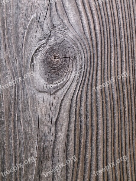 Wood Grain Annual Rings Tree Log