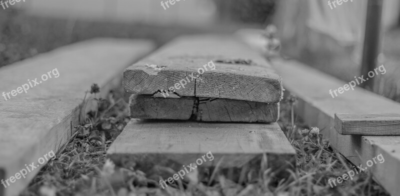 Depth Of Sharpness Leaves Wood Black Gray