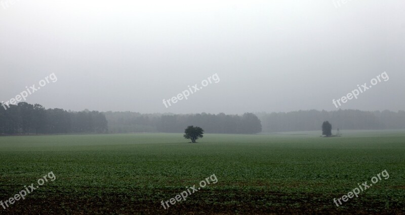 Fields Autumn Rainy Rain Cloudy