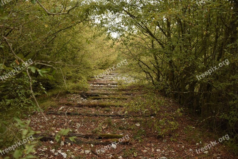 Abandoned Railroad Trasse Railway Line Trackless Ground Trasse Shrubs Old Railway Line