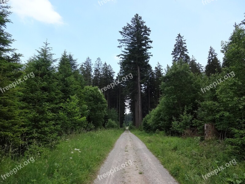 Hiking Route Path Lane Track