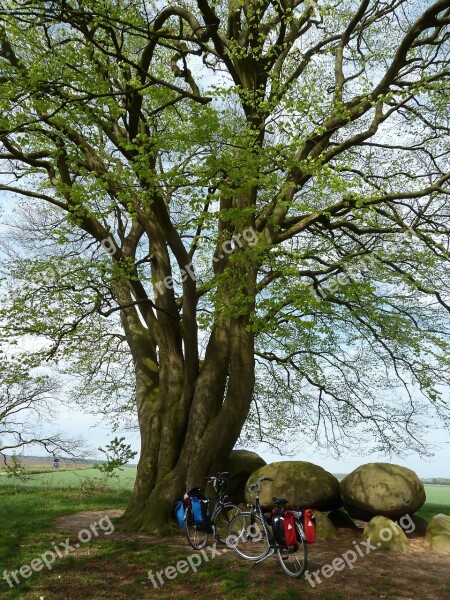 Cycling Bicycle Tour Trees Dolmen Stones