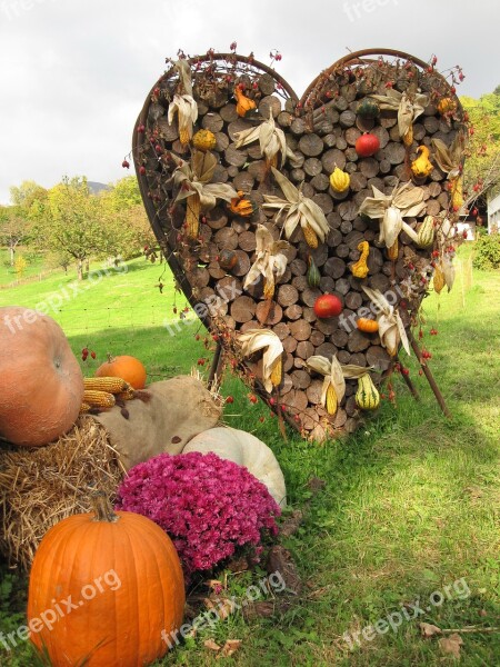 Pumpkin Autumn Autumn Decoration Chrysanthemums Thanksgiving