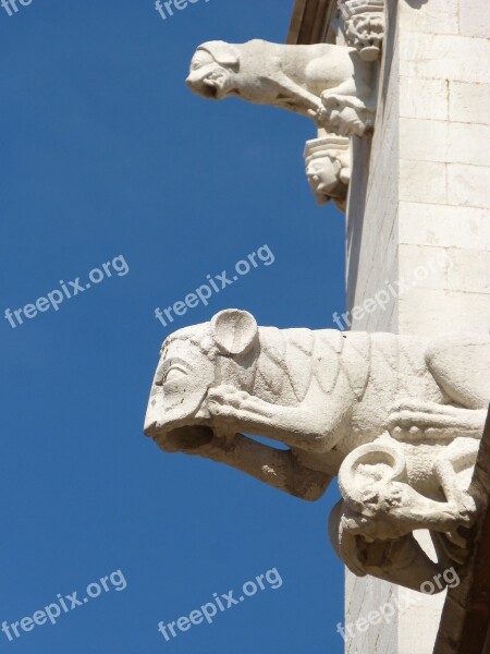 Gargoyles Gothic Tarragona Cathedral Tarragona Sky