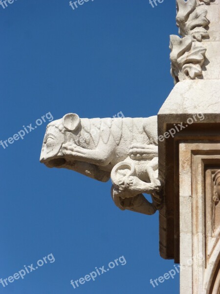 Gargoyle Gothic Tarragona Cathedral Tarragona Sky