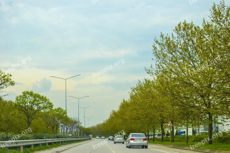 Road Long Way Tree Trees Vehicle