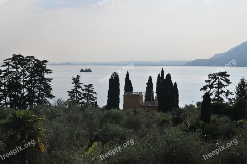 Tree Trees Canopy Landscape Nature Garda