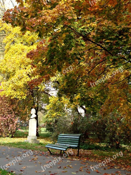 Park Autumn Foliage Sunny October