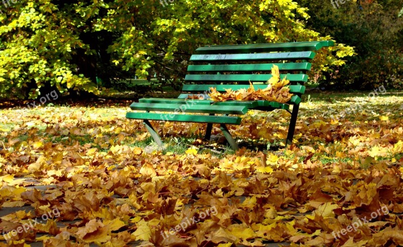 Autumn Bench Park Foliage Nature