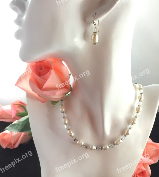 Rose Pearls Woman's Jewelry Display Free Photos