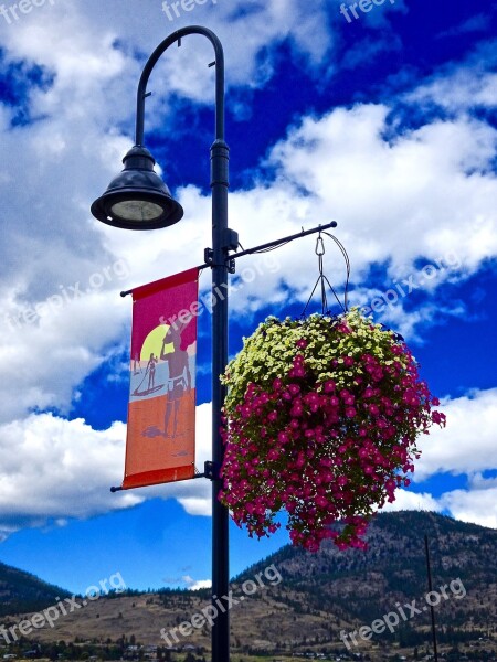 Lampost Floral Arrangement Decoration Colorful Flowers