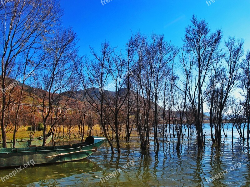 Erhai Lake Fishing Boats Tree Free Photos