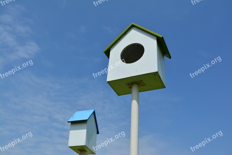 Bird Cage New Foster Home Blue Sky Sky House