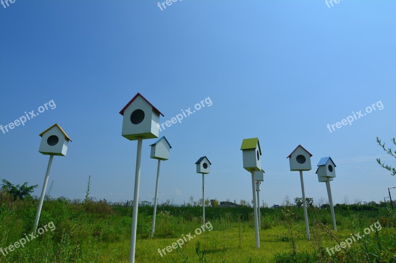 Bird Cage New Foster Home Blue Sky Sky House