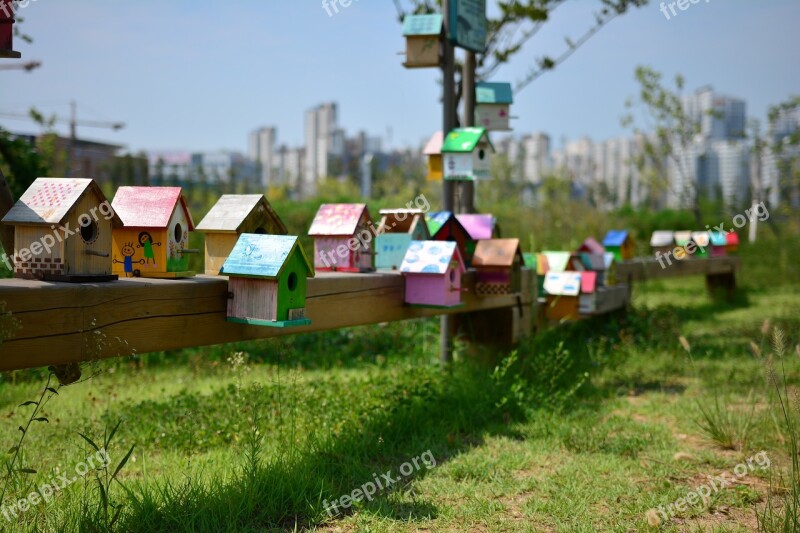 Bird Cage New Foster Home Blue Sky Sky House