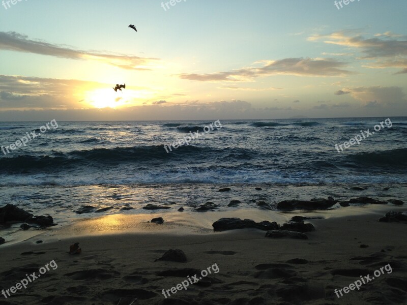 Beach Puerto Rico Clouds Birds Sunset