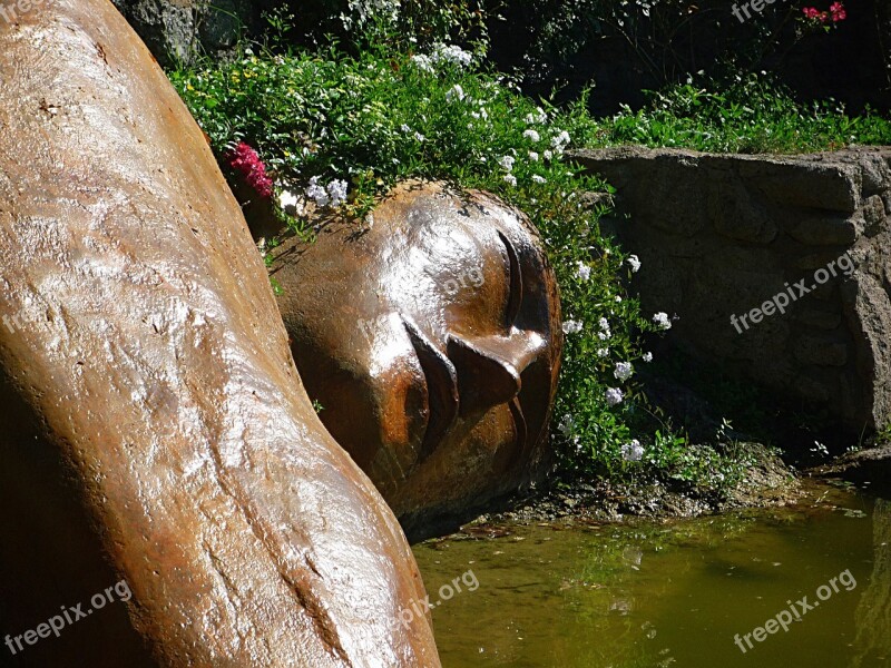 Statue Buddha Water Zen Green