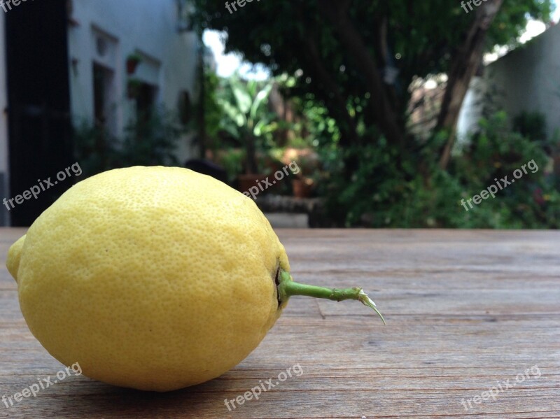 Lemon Yellow Fruit Still Life Picked