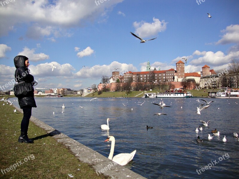 Kraków Poland Tourism Wawel Architecture