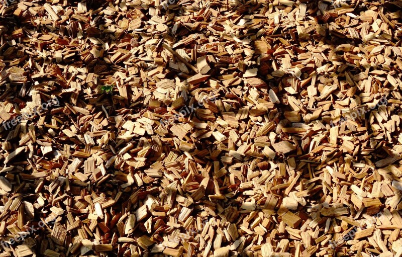 Playground Web Climbing Net Shadow Wood Chips