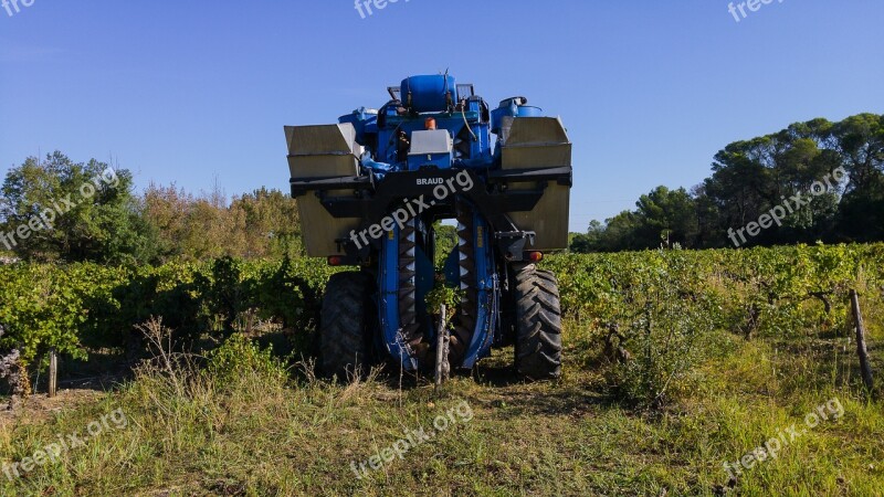 Harvest Grape Harvesting Machine Agricultural Machine Bunch Of Grapes Vine