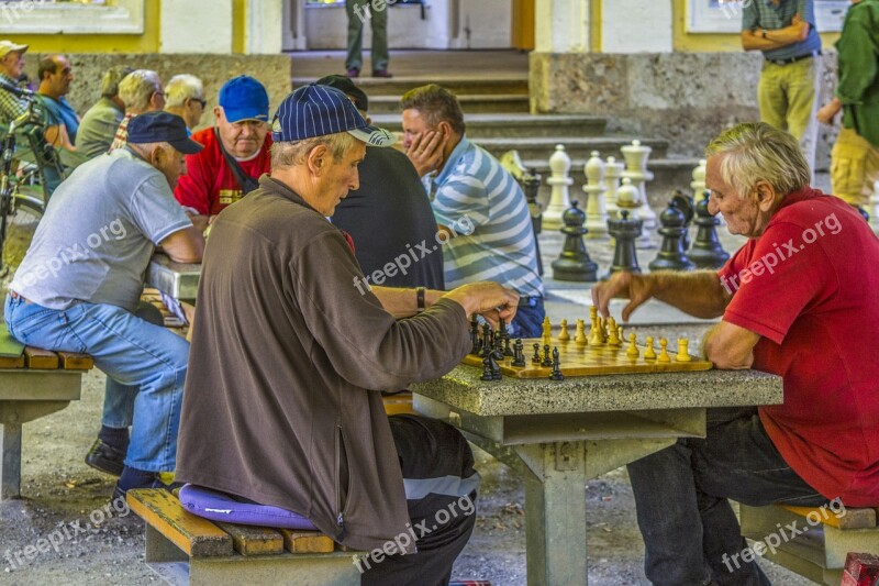 Senior Elderly Game Chess Park