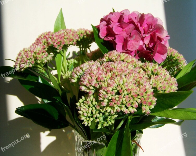 Flower Bouquet Pink Flowers Cut Flower Free Photos